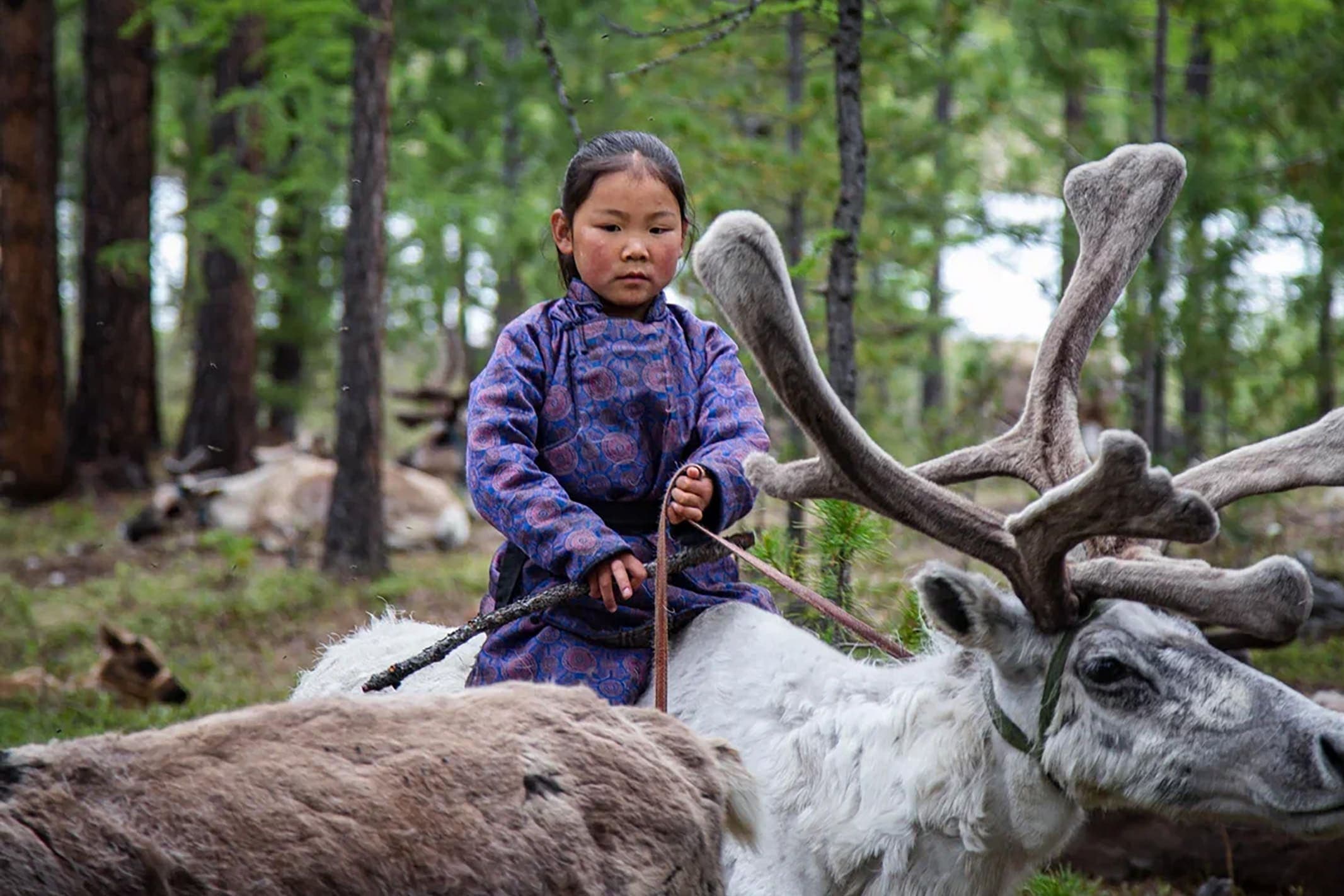 Reindeer Herder Girl