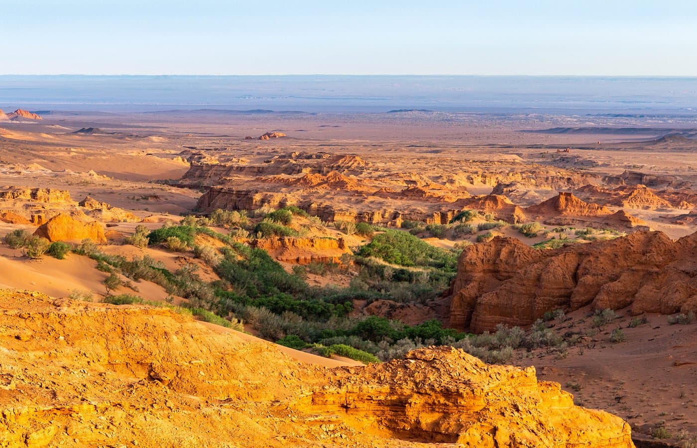 Bayanzag Flaming Cliffs
